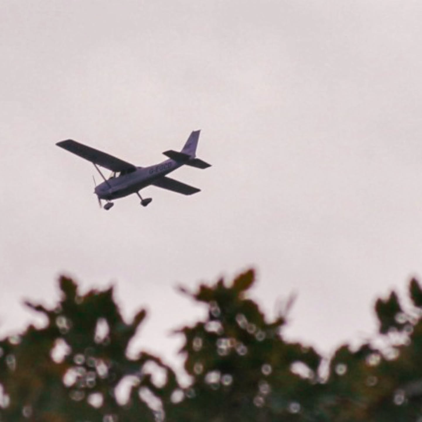 Aviation